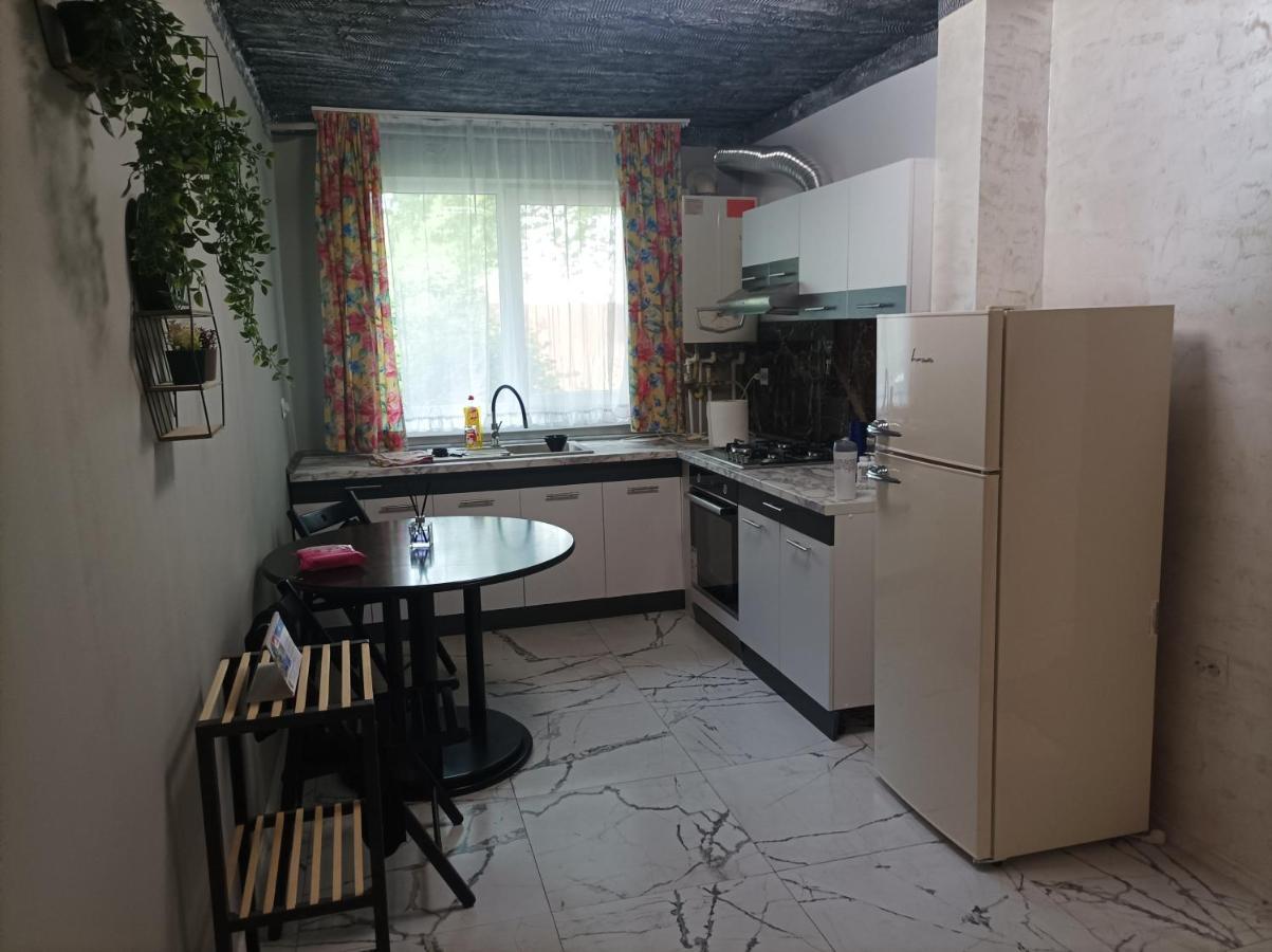 Centrul Vechi Appartement Brăila Buitenkant foto